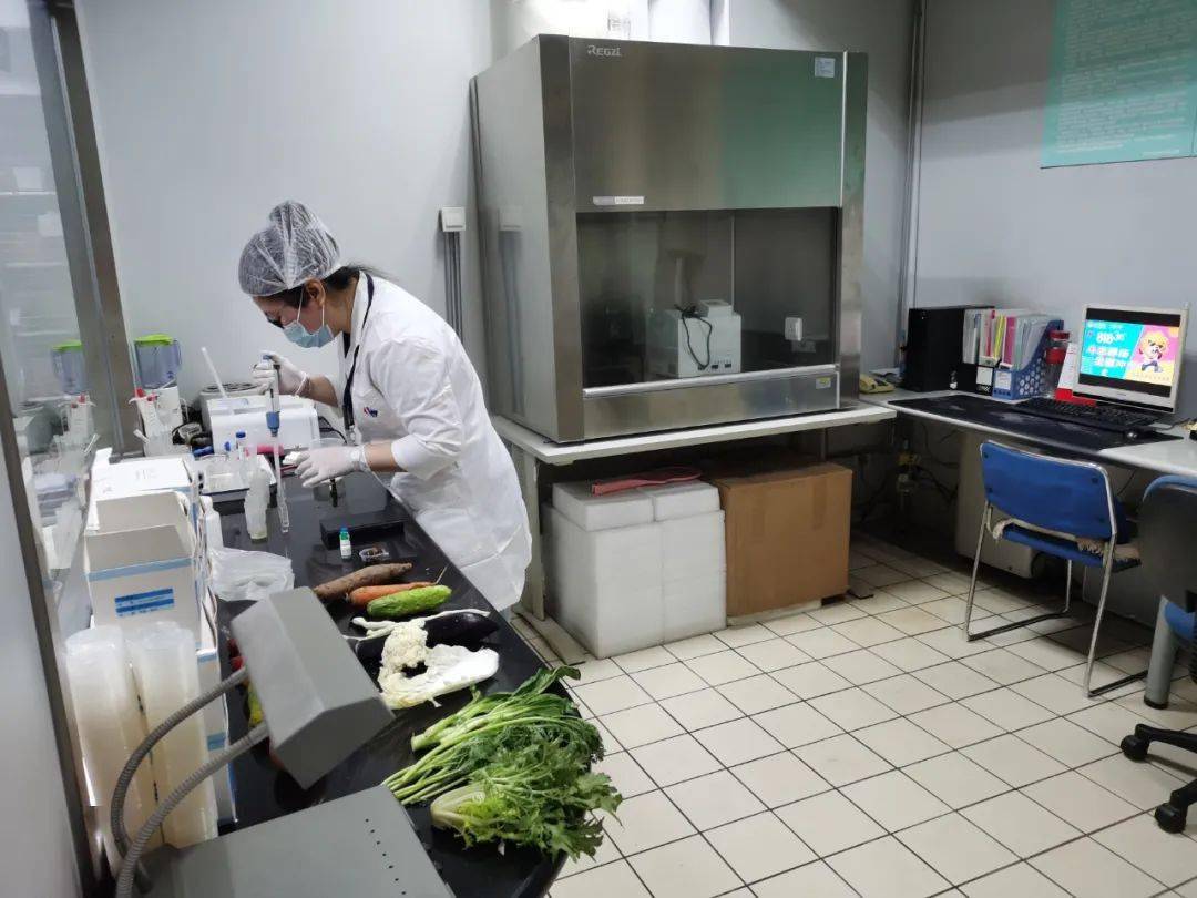 龙文食品检测实验室装修方案